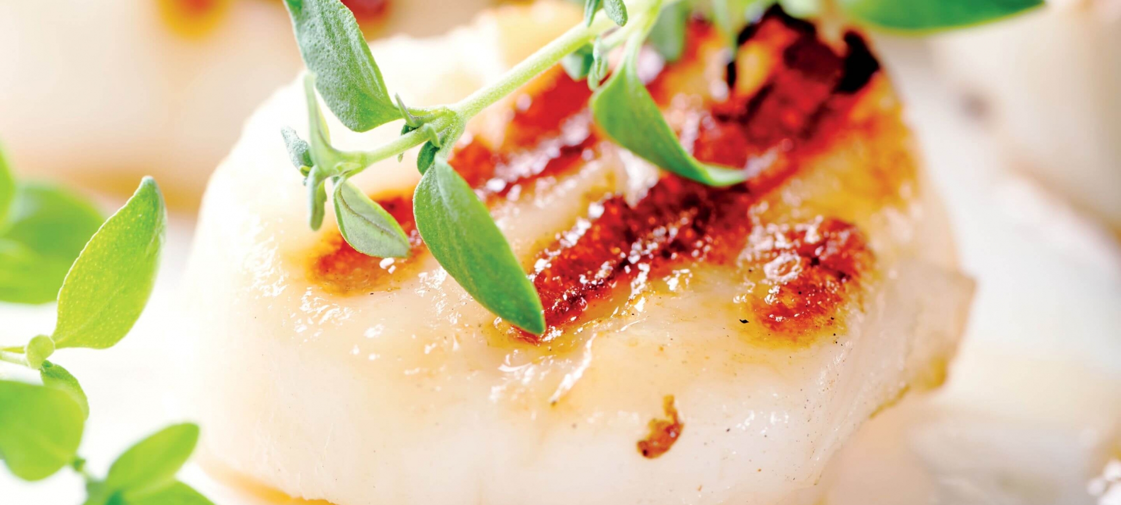 Grilled Scallops with Zesty Zucchini