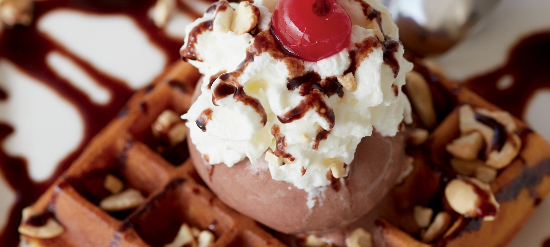 Chocolate Waffle