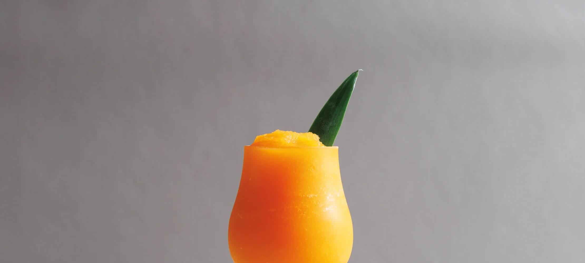 Tropical Fruit Slush –